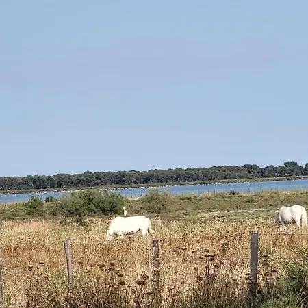 La Voile Bleue Ou Il Fait Bon Etre Et Commerces A Pied Διαμέρισμα *