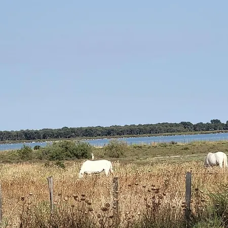 La Voile Bleue Ou Il Fait Bon Etre Et Commerces A Pied شقة لو غراو دو روا